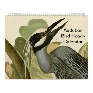 Calendário Cabeças de Ave Audubon