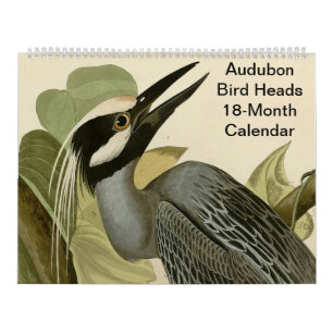 Calendário Cabeças de Ave Audubon 18 Meses