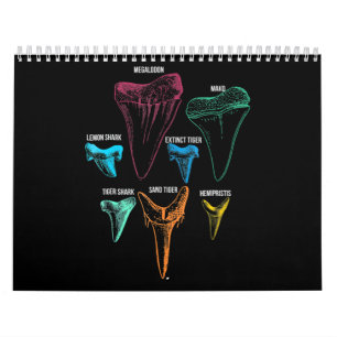 Calendário Caça aos dentes de tubarão - Presentes de tubar
