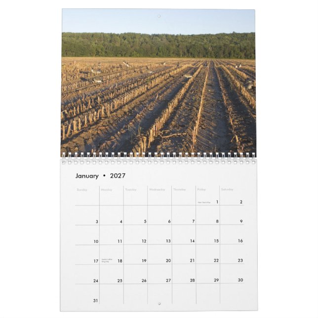 Calendário Caça das aves aquáticas (Jan 2027)
