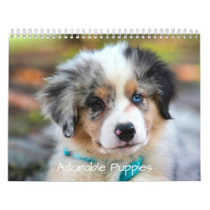 Calendário Cachorrinhos Adoráveis 2026 Cão Fofo