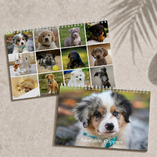 Calendário Cachorrinhos Adoráveis 2026 Cão Fofo