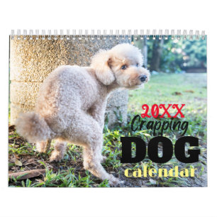 Calendário Cachorro Engraçado de Presente