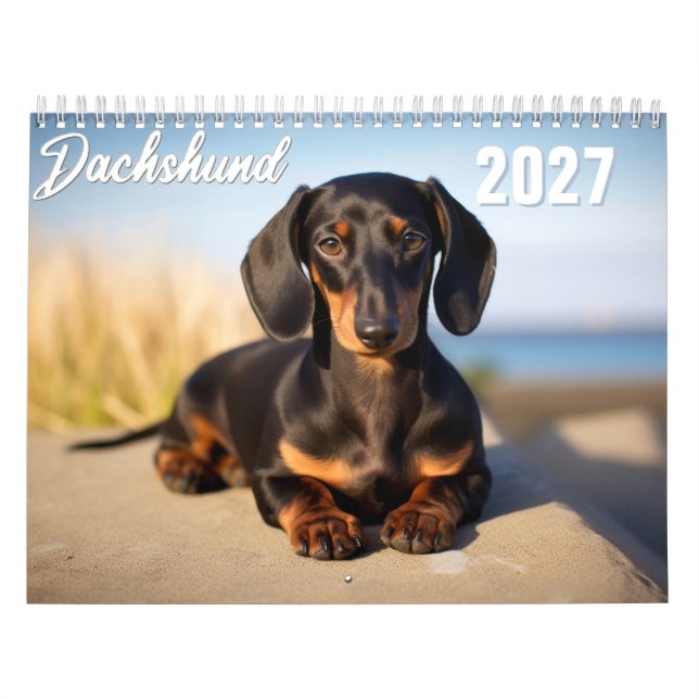 Calendário Cachorro Salsicha 2027 (Capa)
