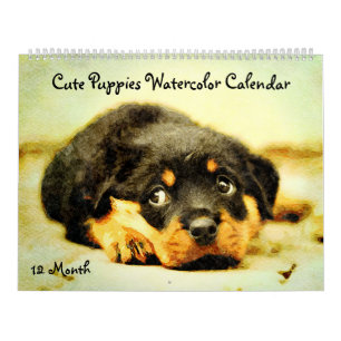 Calendário Cachorros de 12 Meses Cachorro Cachorro Cachorro C