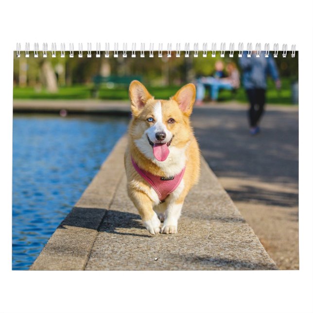Calendário Cachorros Fofos Simples Minimalista (Capa)