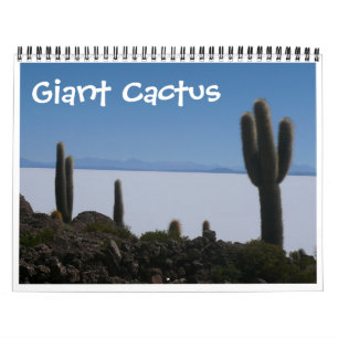 Calendário cacto gigante 2026