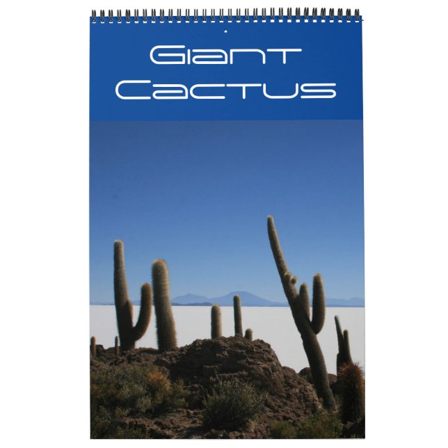 Calendário cacto gigante bolívia (Capa)