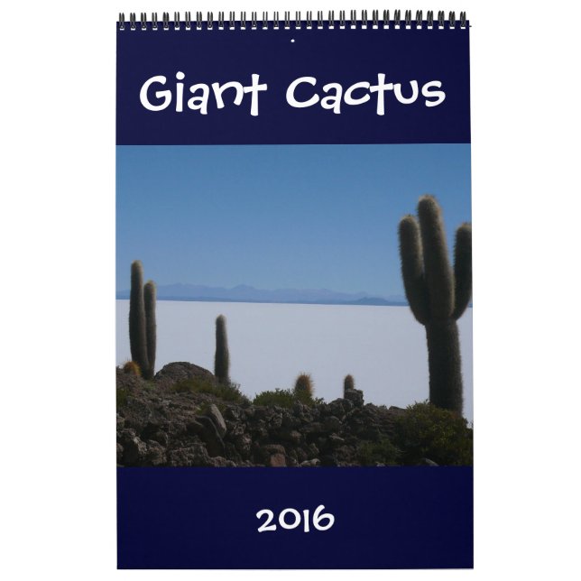 Calendário cactos gigantes 2016 (Capa)