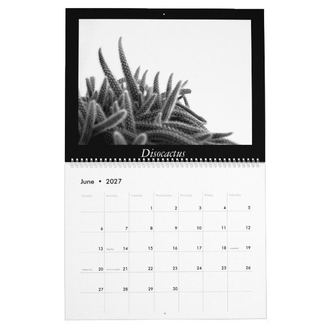 Calendário Cactos monocromáticos 2016 (Jun 2027)