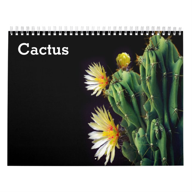 Calendário Cactus 2025 (Capa)