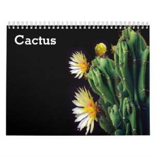 Calendário Cactus 2025