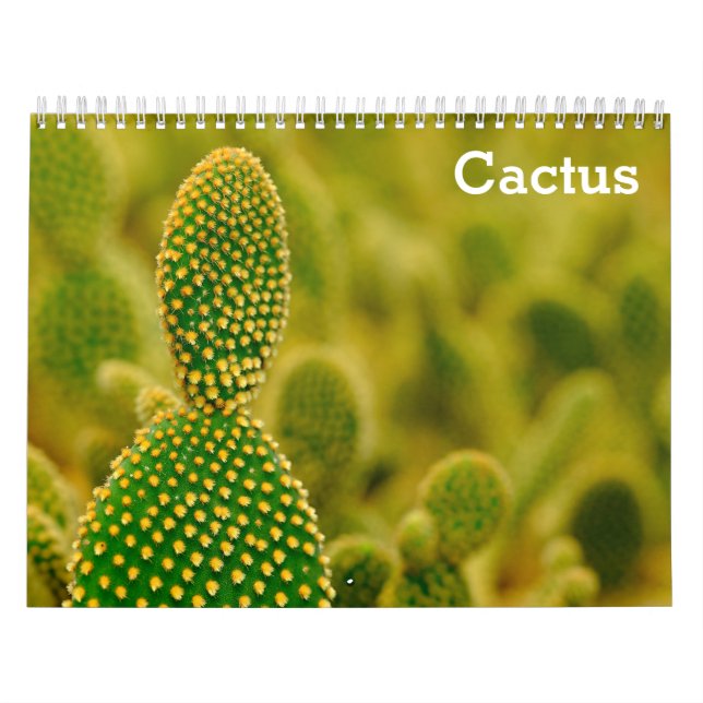 Calendário Cactus 2025 (Capa)