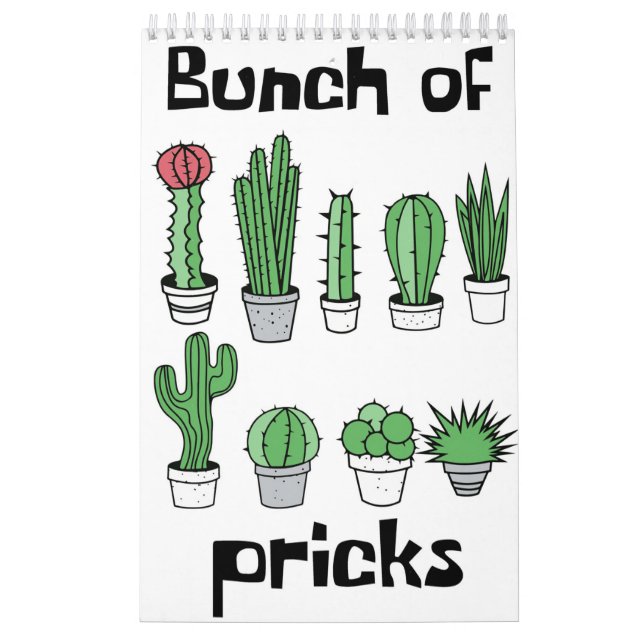 Calendário Cactus Bunch De Picks (Capa)
