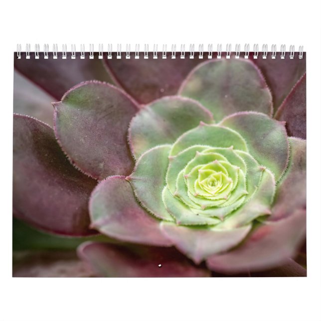 Calendário Cactus Impressão | Flor De Cactus No Deserto (Capa)