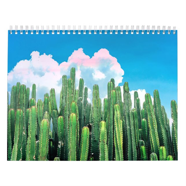 Calendário Cactus Summer (Capa)
