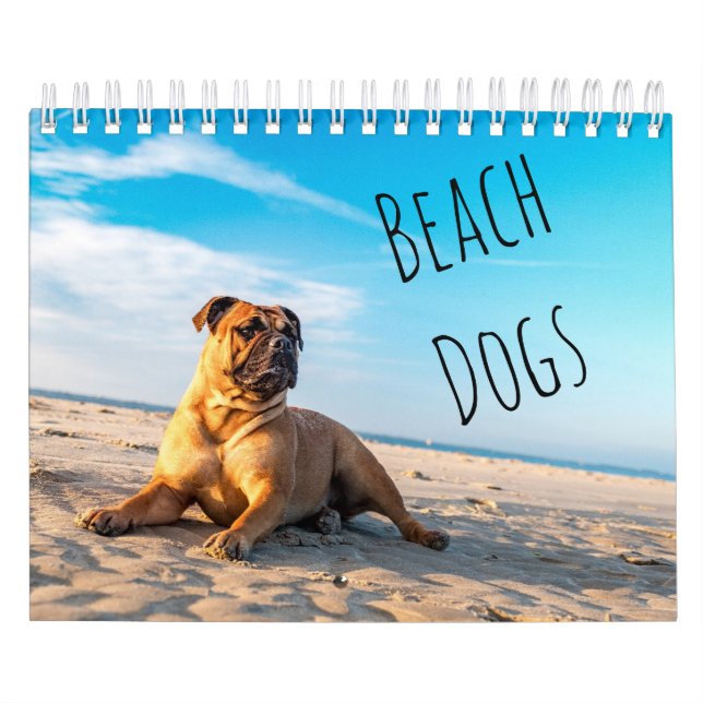 Calendário Cães de Praia (Capa)