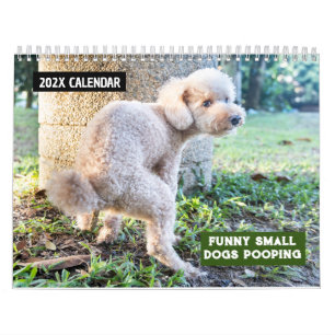 Calendário Cães Pequenos Engraçados Pooping 2026