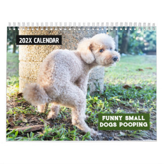 Calendário Cães Pequenos Engraçados Pooping 2026