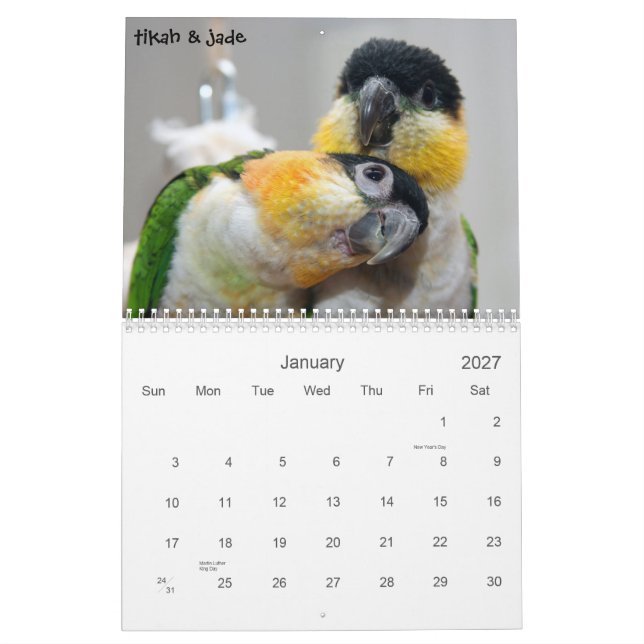 Calendário Caique 2010 (Jan 2027)