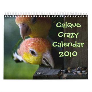 Calendário Caique 2010