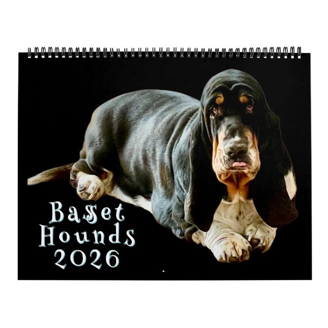 Calendário Calendar (Capa)