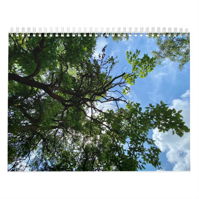 Calendário Calendar (Capa)