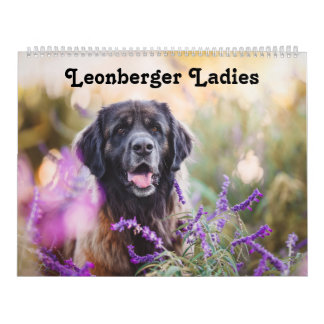 Calendário Calendar - Leonberger Ladies