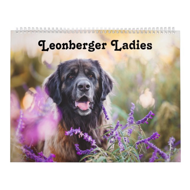 Calendário Calendar - Leonberger Ladies (Capa)