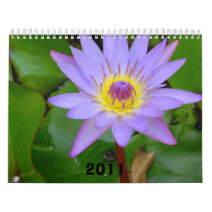 Calendário Calendário, 2011