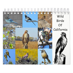 Calendário Calendário, animais selvagens, pássaros selvagen