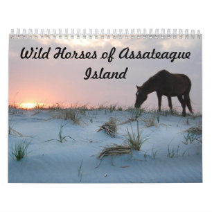 Calendário Calendário, Cavalos Selvagens da Ilha de Assateag