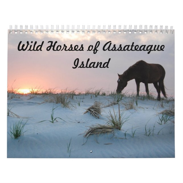 Calendário Calendário, Cavalos Selvagens da Ilha de Assateagu (Capa)