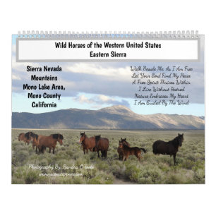 Calendário Calendário, Cavalos Selvagens, Eastern Sierra, Cal