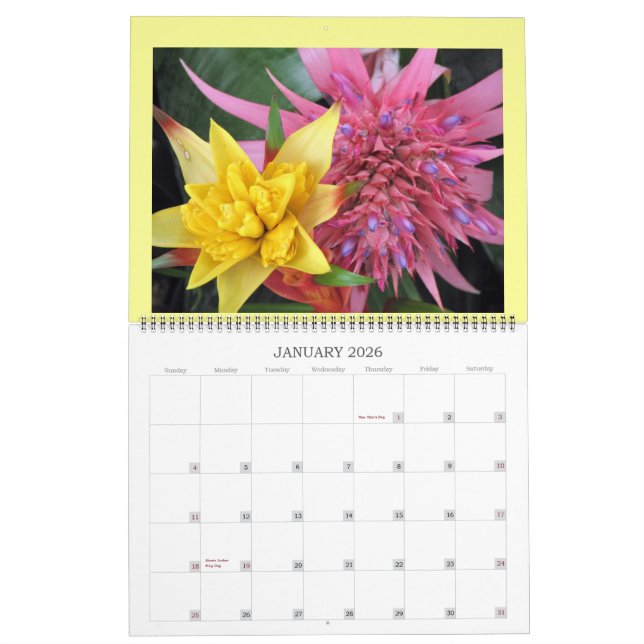 CALENDÁRIO CALENDER IMG_1311, 2008 (Jan 2026)