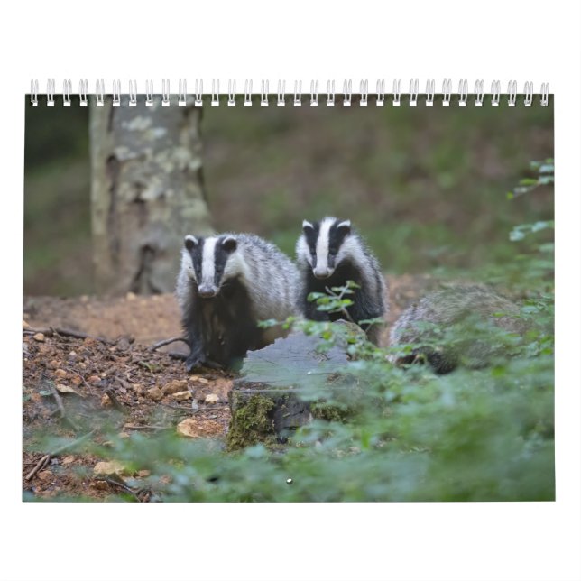 Calendário Calendrier Animaux de la forêt (Capa)
