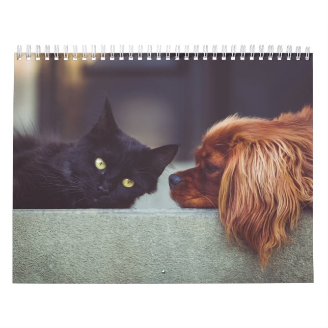 Calendário Calendrier chien et chat (Capa)
