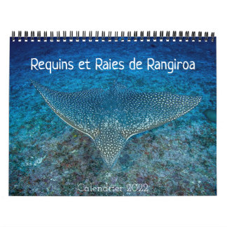Calendário Calendrier des Requins et des Raies カレンダー