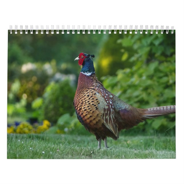 Calendário Calendrier Faisan, Calendar Pheasant (Capa)