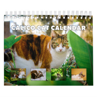 Calendário Calico Cat