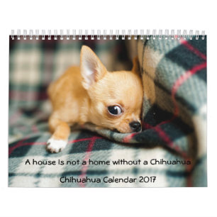 Calendário Câmara De Fotos Chihuahua Calendar 2017 Não É Uma