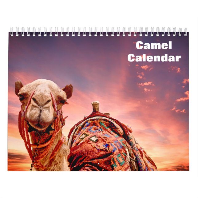 Calendário Camelo 2025 (Capa)