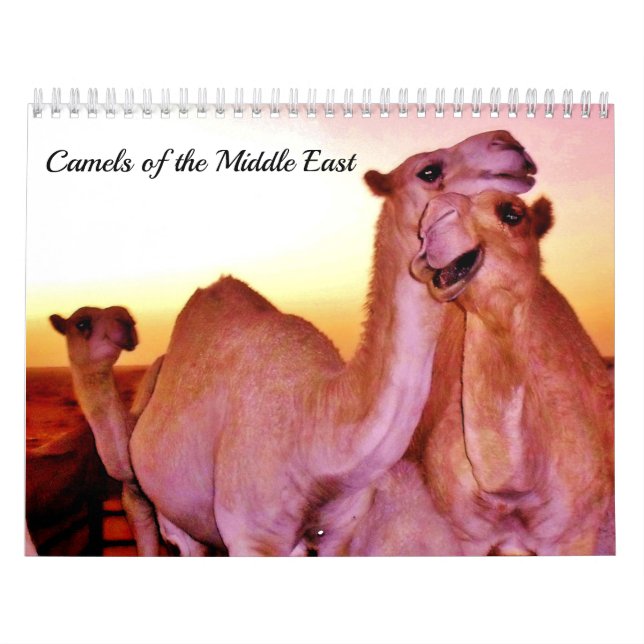 Calendário Camelos do Médio Oriente (Capa)