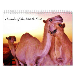 Calendário Camelos do Médio Oriente