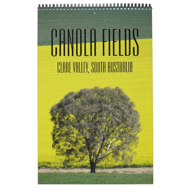 Calendário campos de canola (Capa)