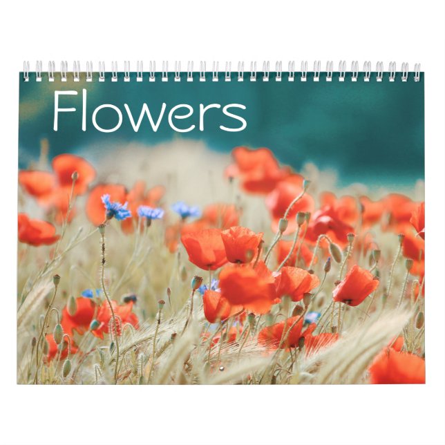 Calendário Campos de Flores (Capa)