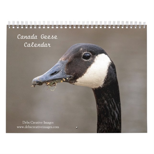 Calendário Canadá Geese 2026 (Capa)