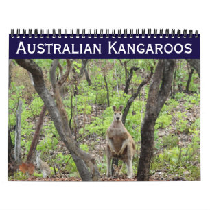 Calendário cangurus australianos 2025