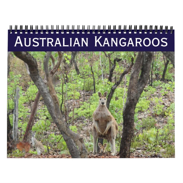 Calendário cangurus australianos 2027 (Capa)