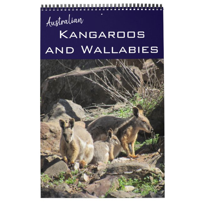 Calendário cangurus wallabies 2027 (Capa)